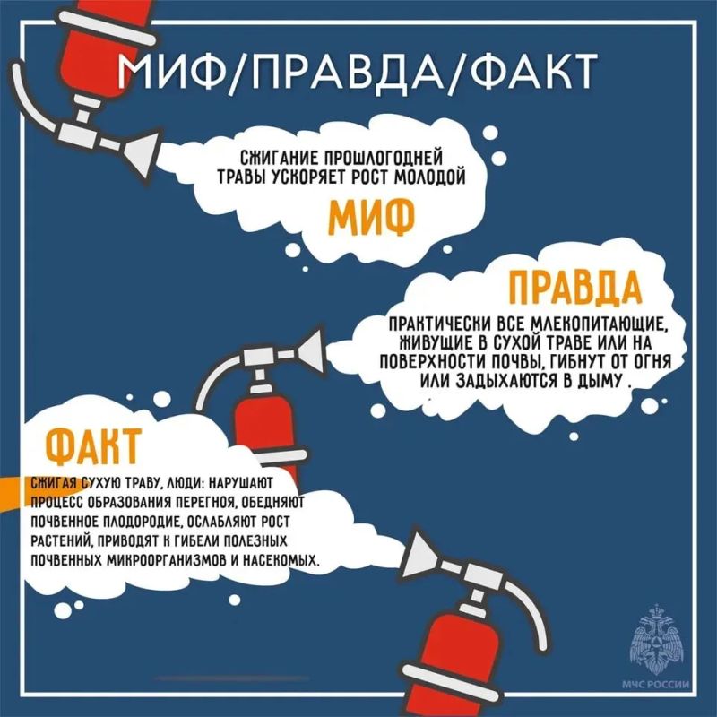 Большинство природных пожаров происходят по вине человека Большинство природных пожаров происходят по вине человека