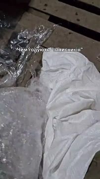 "Мой вес до фронта был 90 килограмм, сейчас - 67"