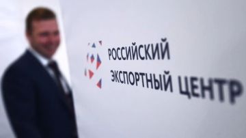 РЭЦ и Минцифры объединяют цифровые сервисы