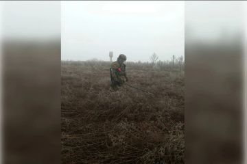 ������ ����������� � ���������� ������� ���� ��� ��������