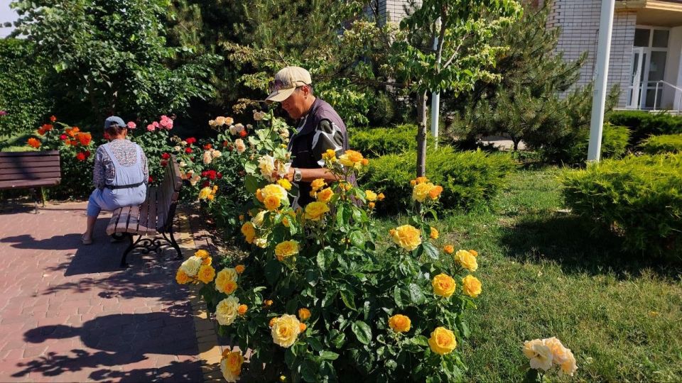 Работы по облагораживанию общественных территорий продолжаются Работы по облагораживанию общественных территорий продолжаются