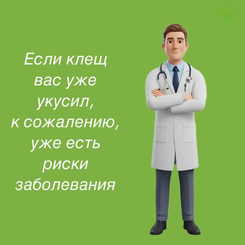 Клещи не спят: как защитить себя и детей Клещи не спят: как защитить себя и детей