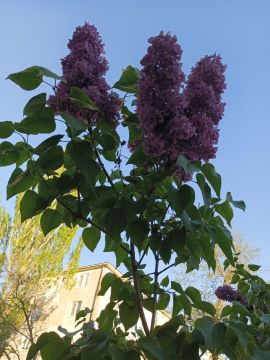 ���� ����������� ������ ���� ������ � ��������, ����� ���� ���� ������ ��� �� ����� � �������� ������� ��� ����