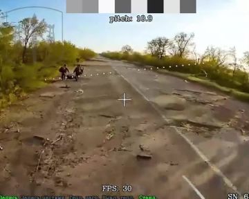 Воришки не смогли утащить награбленное