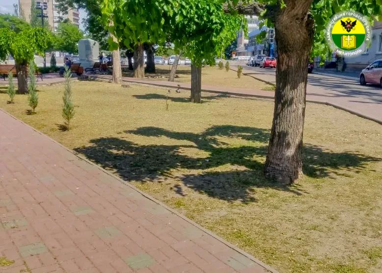 Сотрудники МКУ «Благоустройство» провели плановые работы по покосу травы на территории города Мелитополь Сотрудники МКУ «Благоустройство» провели плановые работы по покосу травы на территории города Мелитополь