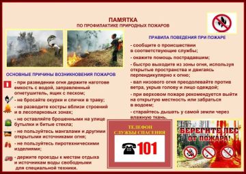 ПАМЯТКА ПО ПРОФИЛАКТИКЕ ПРИРОДНЫХ ПОЖАРОВ