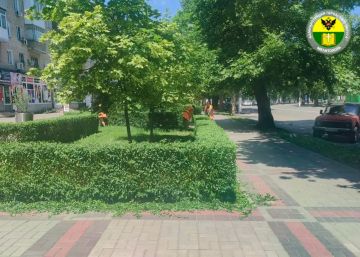 � ���������� ������������ ������ �� ��������������� ������������ �����������