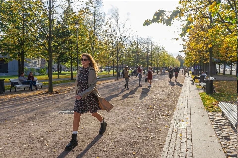 В Токмакском округе планируют сделать больше зеленых зон