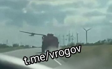 Владимир Рогов: Когда родился в бронежилете
