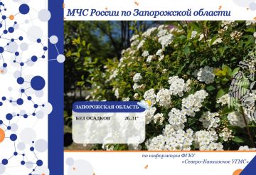 � 20 �� 21 ���� �� ���������� ������� ���������: