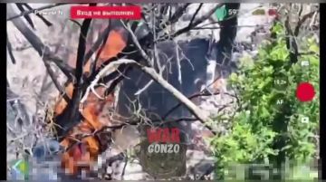 WarGonzo: ��� �� ��������� ����������� ��������� �� �������� ���
