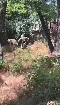 � ��������� �������� ��� � ������� "������������" ������� ����� �����, ������ �� ��������� ������ ����� �� ��� ����� ����, ��� �� ������� �� ������������