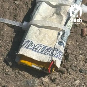Заминированные купюры нашли в Михайловском муниципальном округе Запорожской области