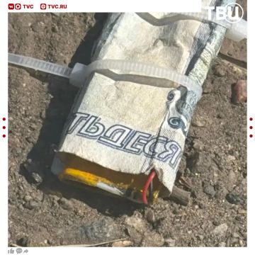 Заминированные денежные купюры обнаружили на улицах в запорожской Михайловке