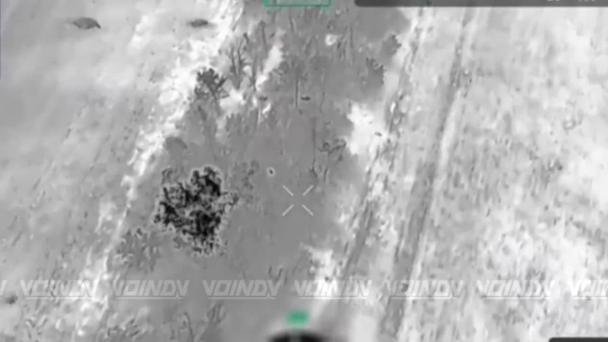Очередная группа пехоты ВСУ теперь занимается "единением с природой" в одной из лесопосадок Запорожского направления