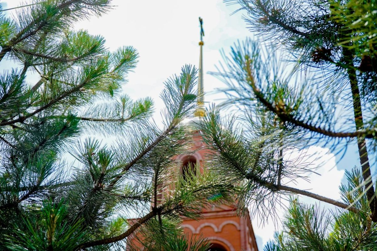 Доброе утро, Мелитополь. Подписывайтесь на канал администрации в MAX