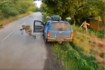 ������ � ����������� ��� �� ��������� �������� ������� ������