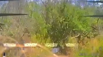 ������ ���������� ���� 37 ����������� 36 ����� ����������� ����� "������" �� ����������� �������� ������� ���������� ���������� �� ����������� �����������