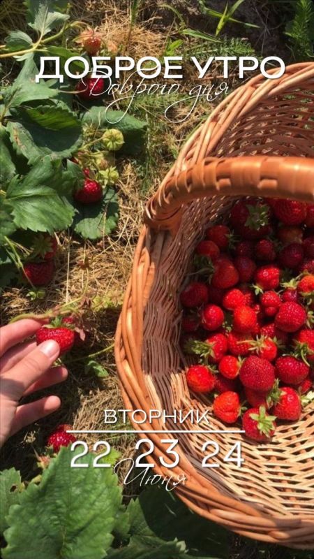Доброго утра , дорогие Мелитопольцы!