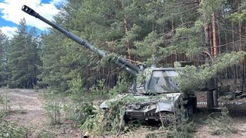 Российские войска поразили формирования ВСУ у Орехова и Малокатериновки