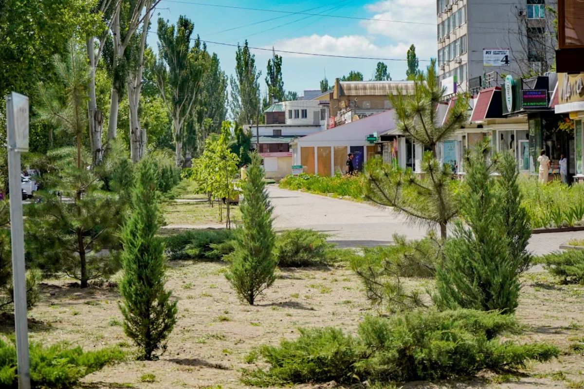 Доброе утро