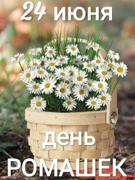 Сегодня 24 июня 2026 года, среда- отмечается 5 праздников