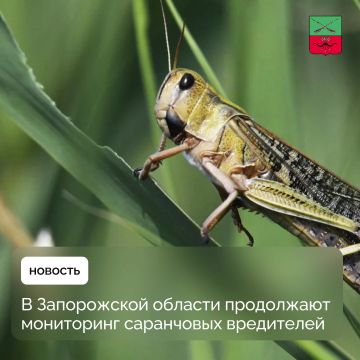 ������ ���������������� �� ����������� ������� �������� ���������� ���������� ����������
