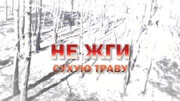 ��� � ���� ����� ���������
