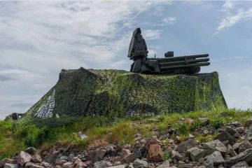Балицкий: В Запорожской области участились случаи применения дронов Hornet