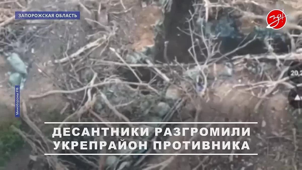 Снайперы группировки войск «Восток» уничтожили живую силу и огневые точки ВСУ на запорожском направлении