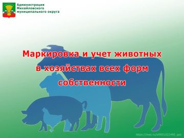 ������������� ������������� ������ ����������� � �������� ������������ ���������� � ����� �������� � ����������