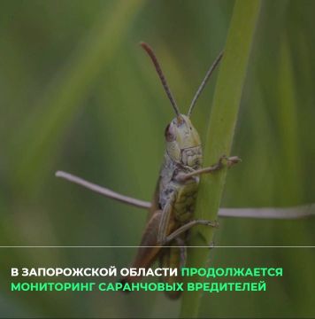 � ����������� ������� ���������� ���������� ���������� ����������