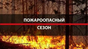 �������-������ ������������� ������: ��� �������� ���� ��� � �� ������� �� ������?