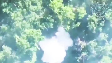 ����������� ������ ����������� ��� � ������ ��������� �� ���������� �����������