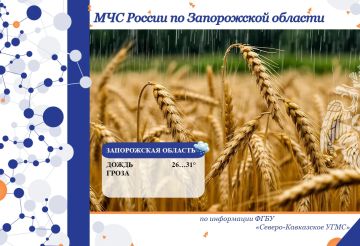 � 25 �� 26 ���� �� ���������� ������� ���������: