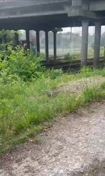 ���������. ����� ��� ���� ��������� ����� ����� ������ ������ �� ���������� �/� ������� "���������-1"
