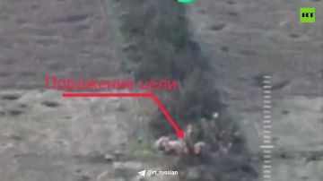 �� �� ���������� ��������� ������ ���������� �������, ������� � ������� ����������� ����� Starlink � ����������� �������