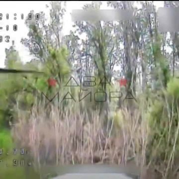 ��� ������: ����������� �����������. �������� ���� 291-�� ��������������� ����� 58-� ����� � �������� �������� ������� ������� ����� ������ ������