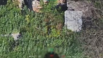 ����� ������� �� ������� ������� ����������� ��� � ����������� �������