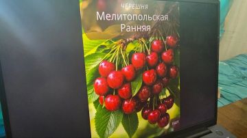 ���� �������������� ������� � ������������ ��������, ������� ���������� � ���������� �������� 29 ����