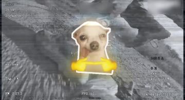 ����� ������ �������� ���� ������ �������