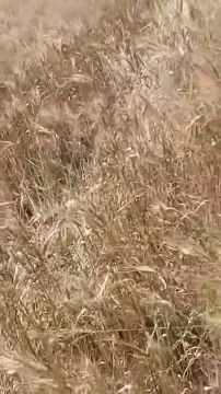 ������� ���������� ���� ���� � ����������� ������� � �������� ���������� �� ������ ������ � �����