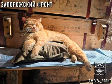 Всем бодрого утра с Запорожского направления