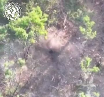 ��� ������: ����������� �����. �������� ���� ���������������� ���� 291-�� ��������������� ����� 58 ����� � �������� �������� ������� ������� ����� ������ ������