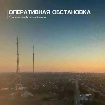 ������� ��������: �� ��������� ����� ������������� 15 ������ ���������������� ���� ���������� �� ��������� ������ ����������� �������, ���������� ��� ��������