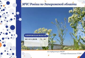 Чрезвычайный прогноз по Запорожской области на 1 июля