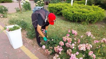 � ���������� ������������ ������ �� ��������������� ����������