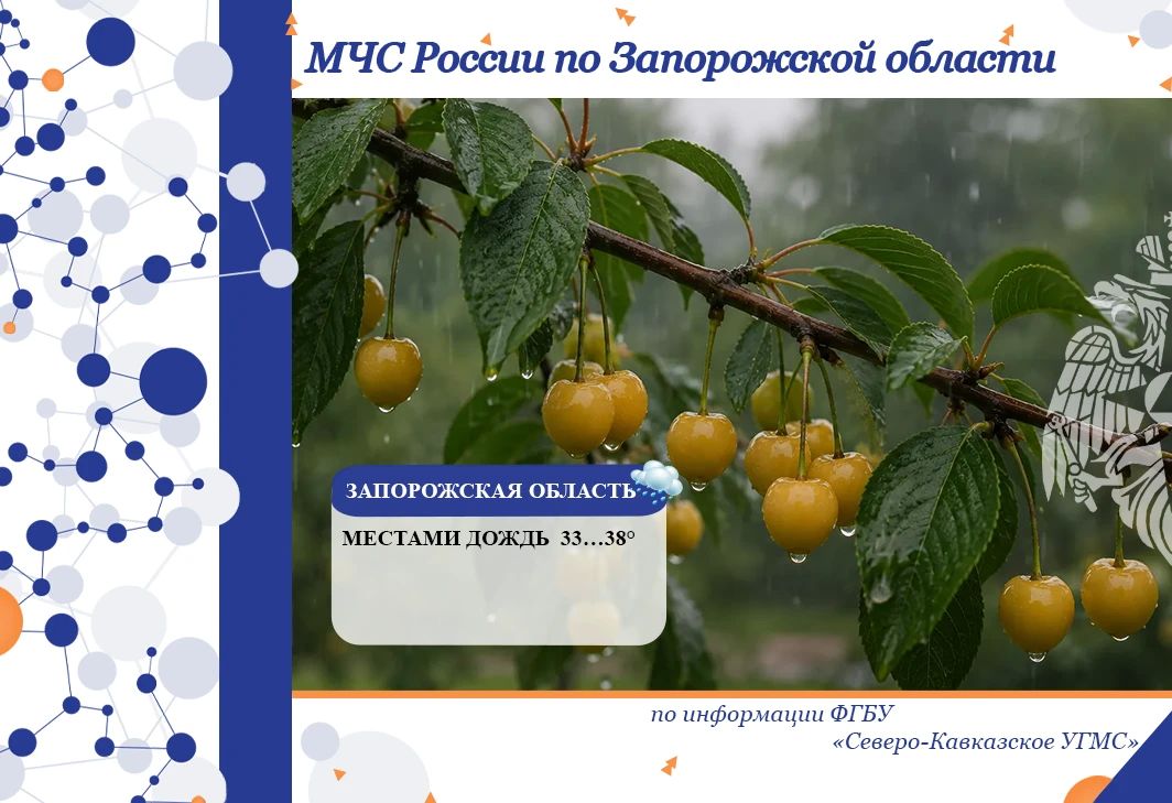 С 2 на 3 июля на территории региона ожидается: