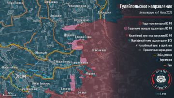Актуализация на Гуляйпольском направлении