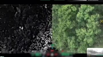 В Запорожской области сорвана попытка вражеской контратаки